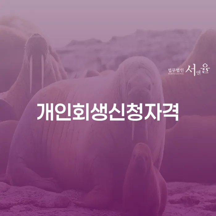 부부회생 개인회생으로 현명하게 하는 중요한 팁