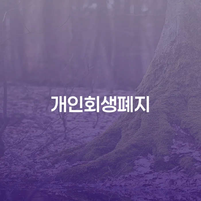 파산선고일 개인회생으로 해결 가장 먼저 확인할 점