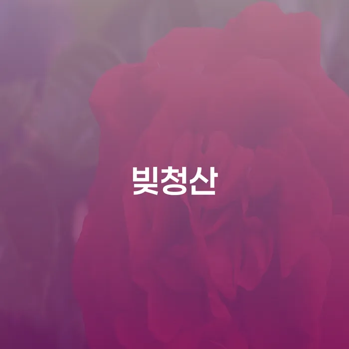 사업자회생 빚청산 추천하는 변호사