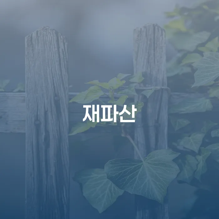개인회생기간 추심 대응법 유선상담