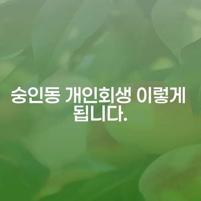 숭인동 개인회생 이렇게 됩니다.