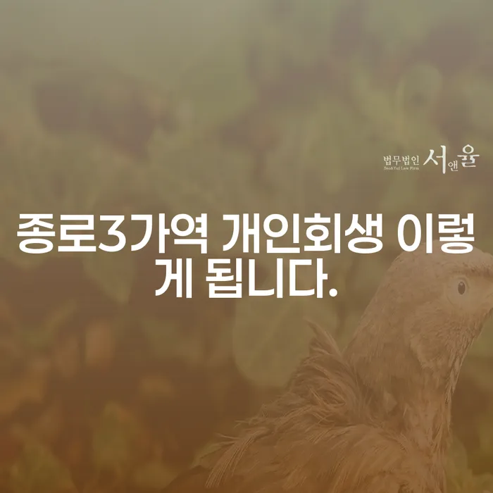 종로3가역 개인회생 이렇게 됩니다.