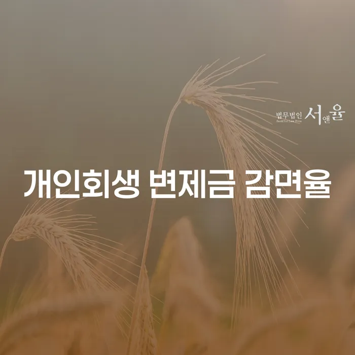 개인회생 변제금 감면율, 어떻게 적용되나요?