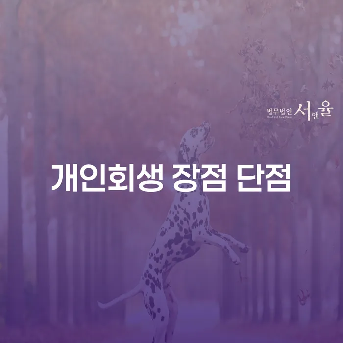 전농동 개인회생의 장점과 단점: 채무 문제 해결의 실질적 접근