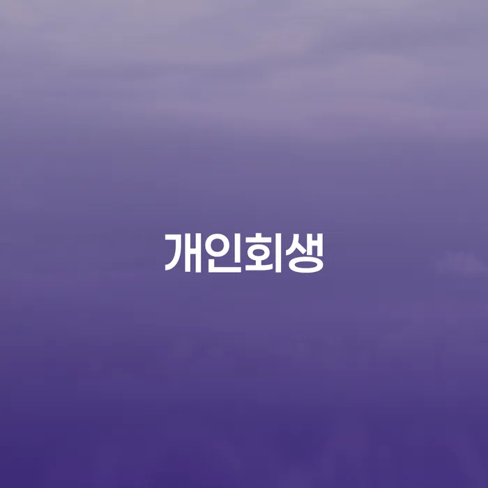 혜화동 개인회생, 배우자 몰래 가능한가요?