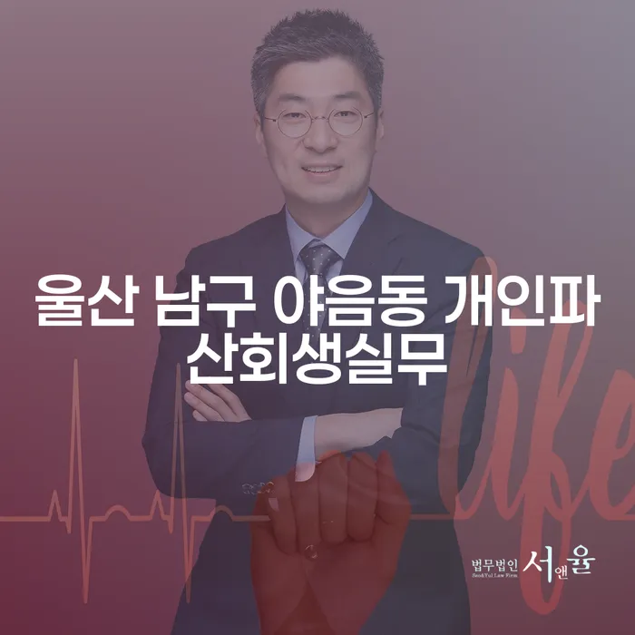 울산 남구 야음동 개인파산회생실무: 주부개인회생 가능할까요?