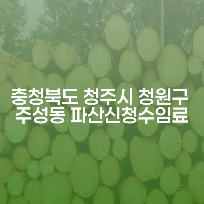 왜 충청북도 청주시 청원구 주성동에서 파산 신청 수임료는 중요한가요?