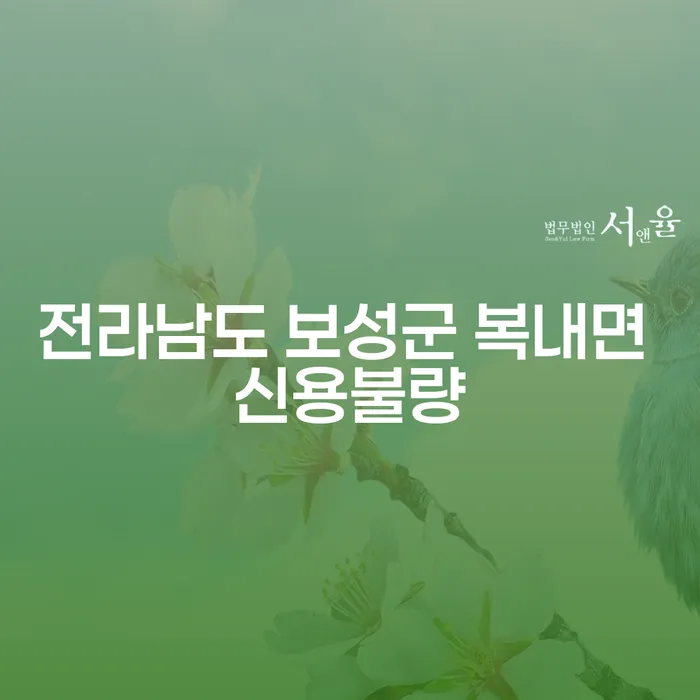 전라남도 보성군 복내면 신용불량 문제, 회생전문법무사와 함께 해결해보세요!