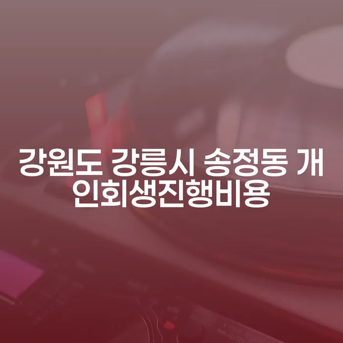 강원도 강릉시 송정동에서 개인회생 진행비용을 아끼는 방법은?