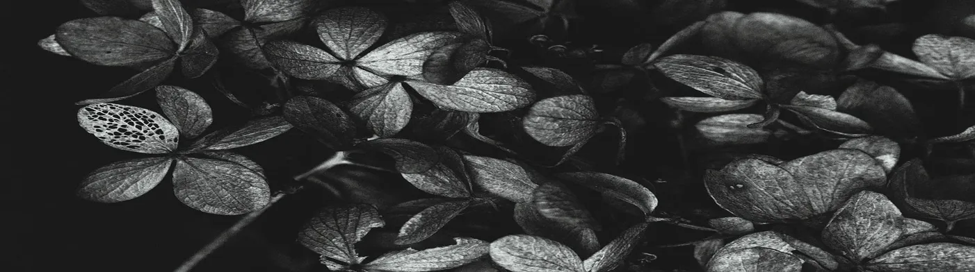 법무법인 서앤율